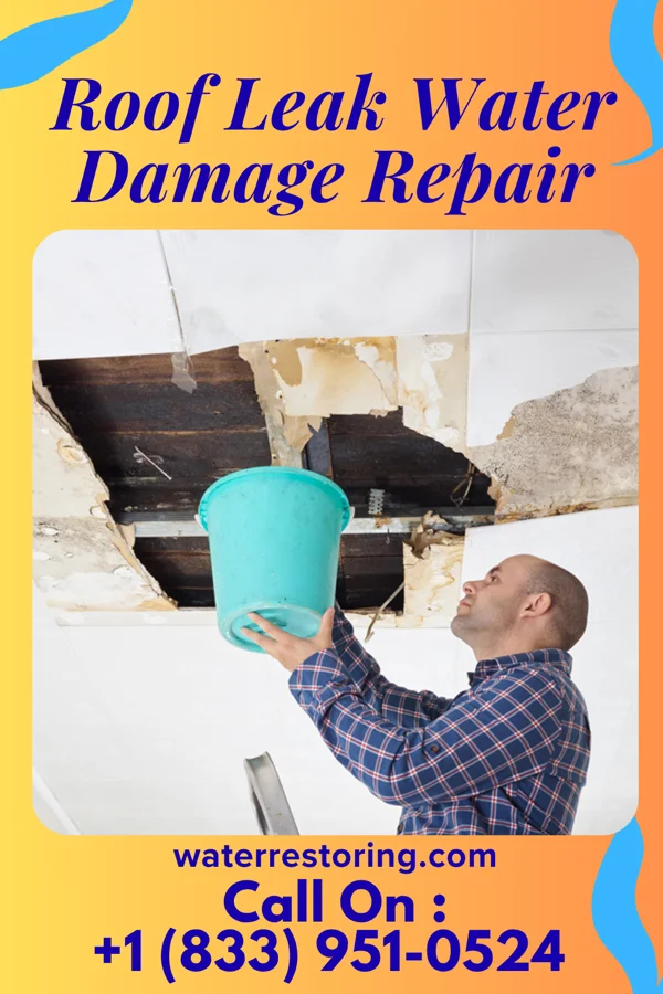 Roof Leak Water Damage Repair in Asbury, MO